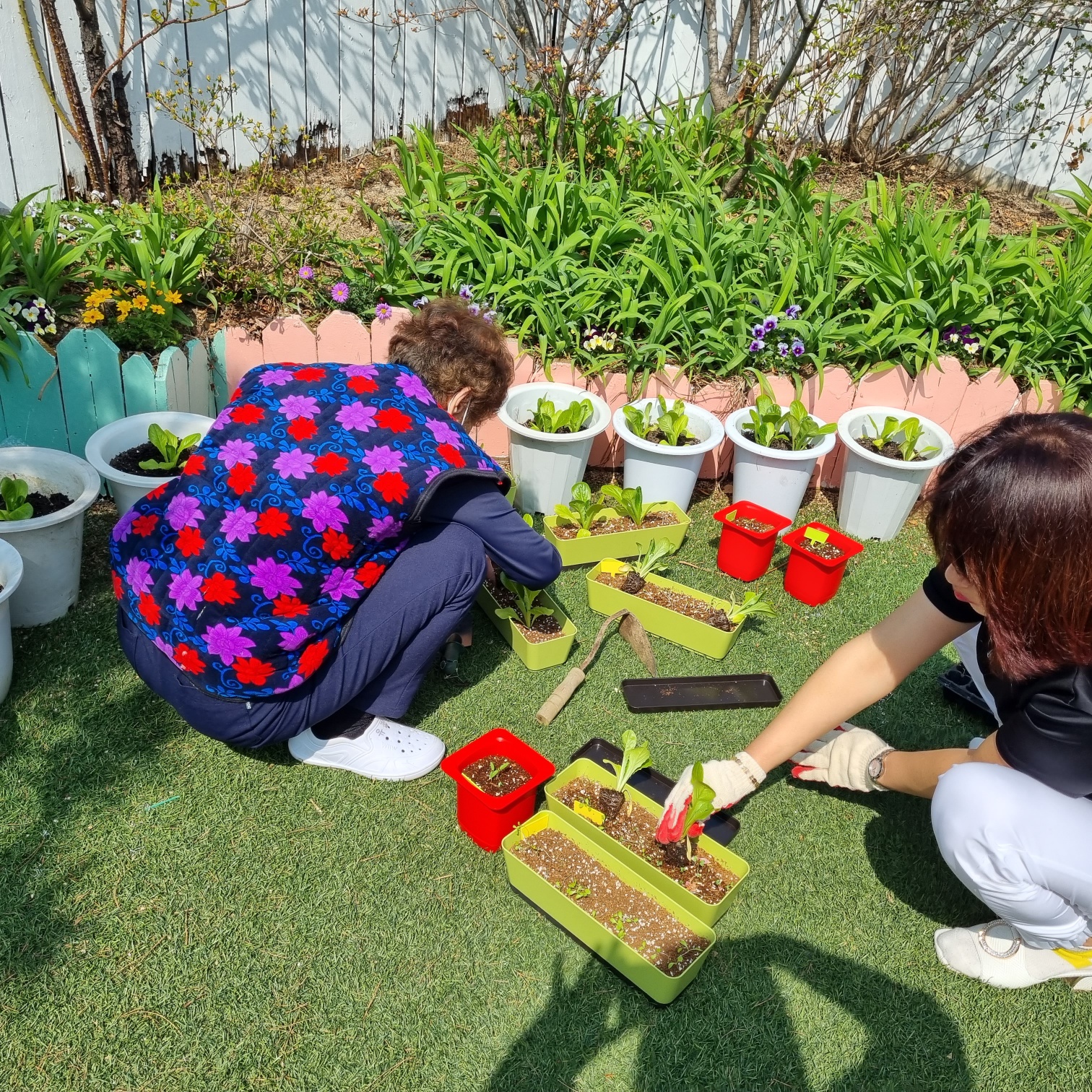 1948697120_r3KhidMn_d8f9a4debc451e730a71c0338aecc1798d576d17.jpg 이미지크게보기